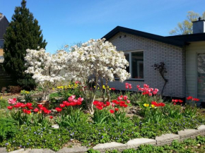 Mini-apartment in the flowerbed